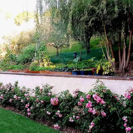 Luxury Italian Villa With Pool & Air Conditioning Villa *